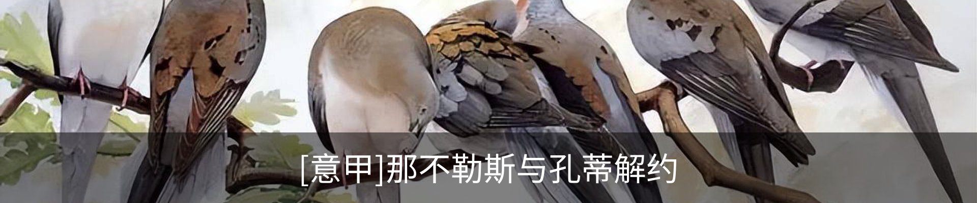 行业资讯